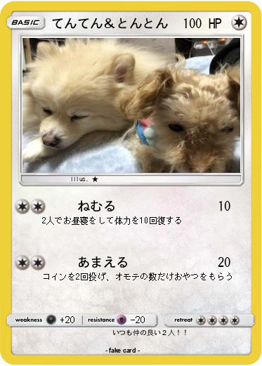 Pokemon てんてん＆とんとん