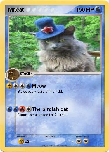 Pokemon Mr.cat