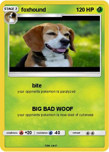 Pokemon foxhound
