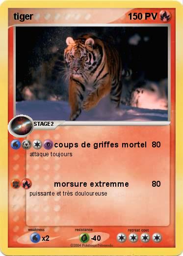 Pokemon tiger