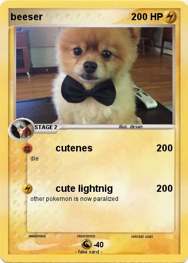 Pokemon beeser
