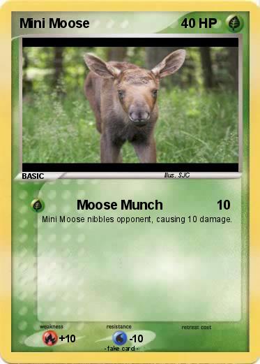 Pokemon Mini Moose