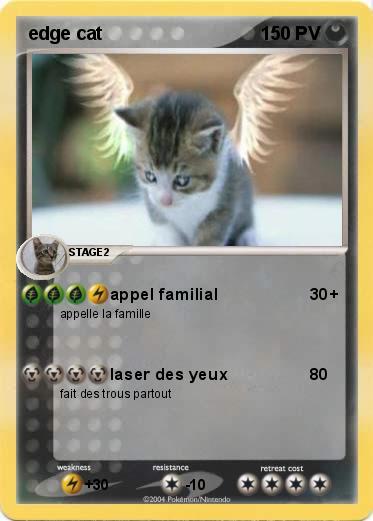 Pokemon edge cat