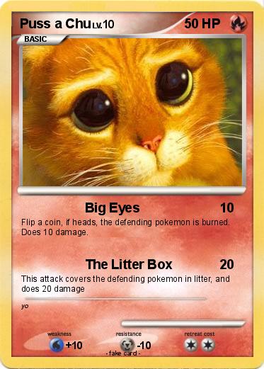 Pokemon Puss a Chu