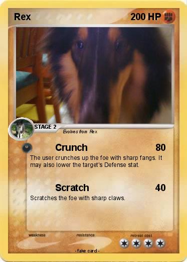 Pokemon Rex