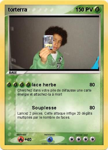 Pokemon torterra