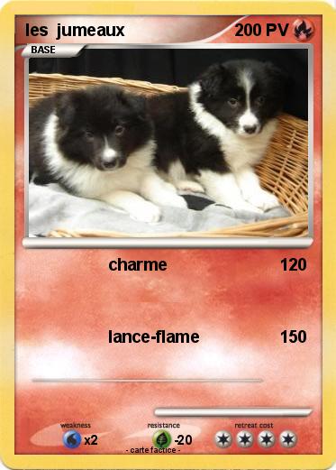 Pokemon les  jumeaux