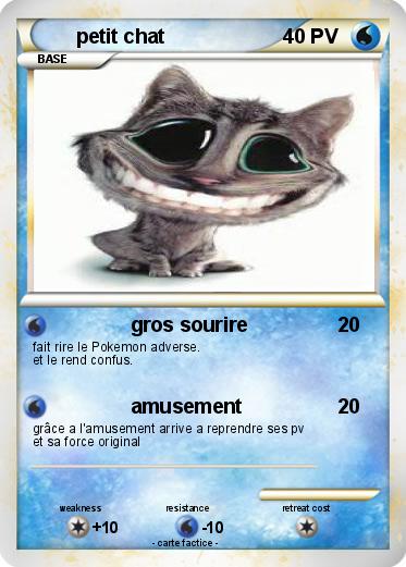 Pokemon petit chat