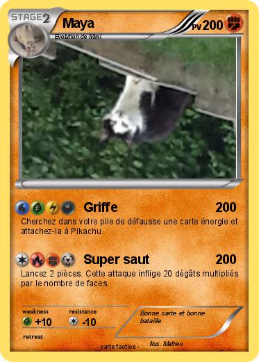 Pokemon Maya