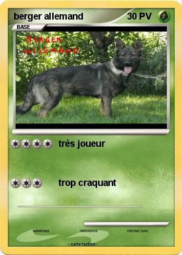 Pokemon berger allemand