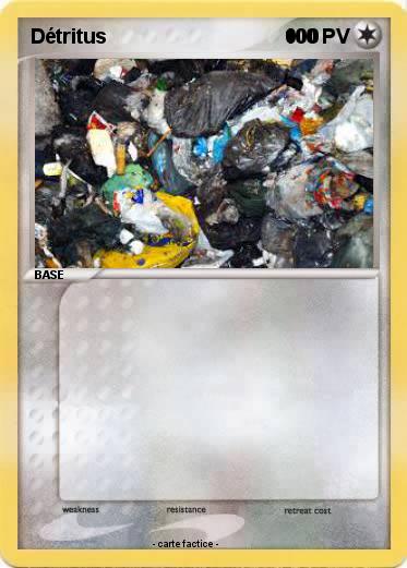 Pokemon Détritus                                000