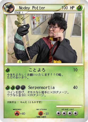 Pokemon 　Nodey Potter