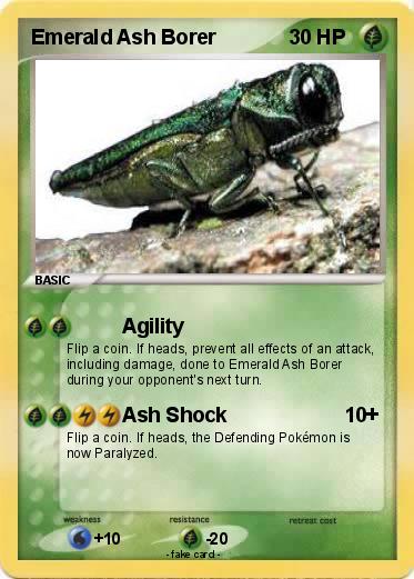 Pokemon Emerald Ash Borer