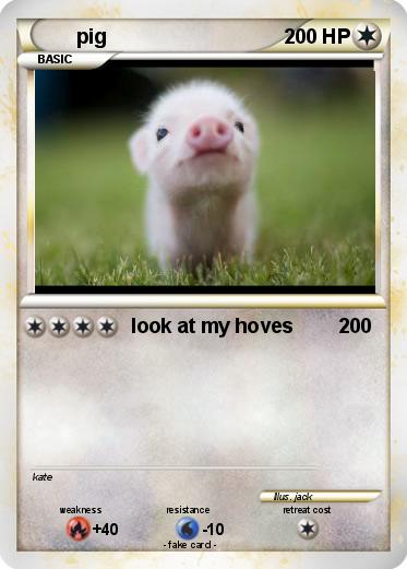 Pokemon pig