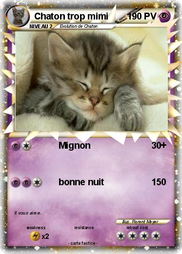Pokemon Chaton trop mimi