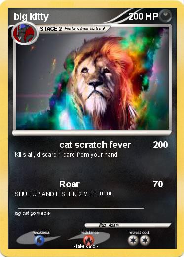 Pokemon big kitty