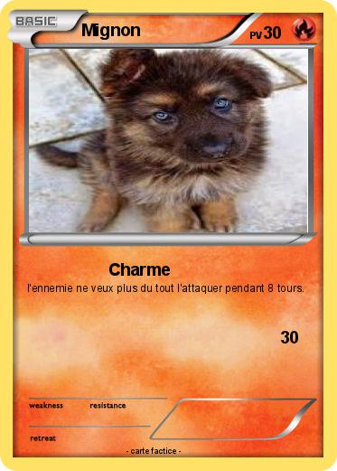 Pokemon Mignon