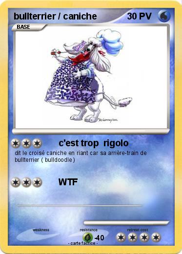 Pokemon bullterrier / caniche