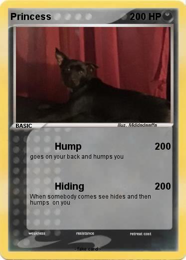 Pokemon Princess