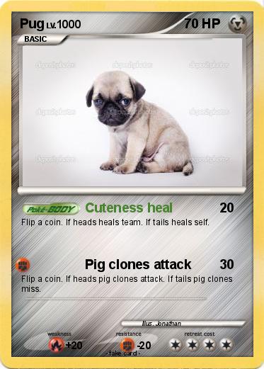 Pokemon Pug
