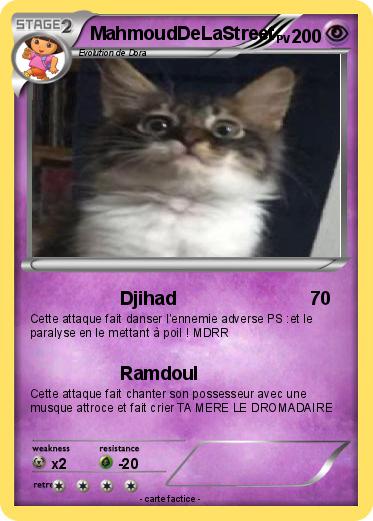 Pokemon MahmoudDeLaStreet