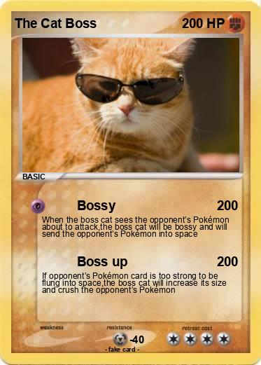 Pokemon The Cat Boss