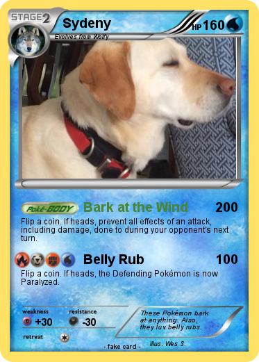 Pokemon Sydeny