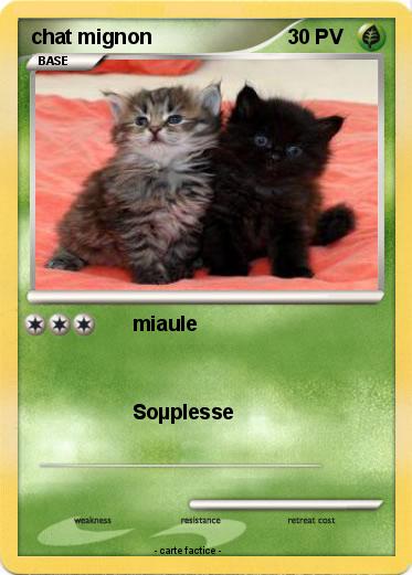 Pokemon chat mignon
