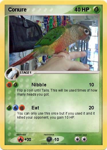 Pokemon Conure