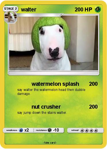 Pokemon walter