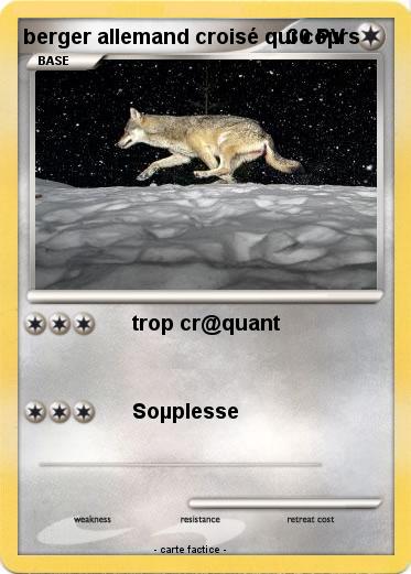 Pokemon berger allemand croisé qui coµrs