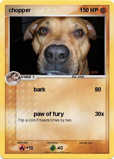 Pokemon chopper