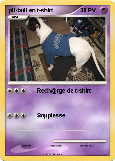 Pokemon pit-bull en t-shirt