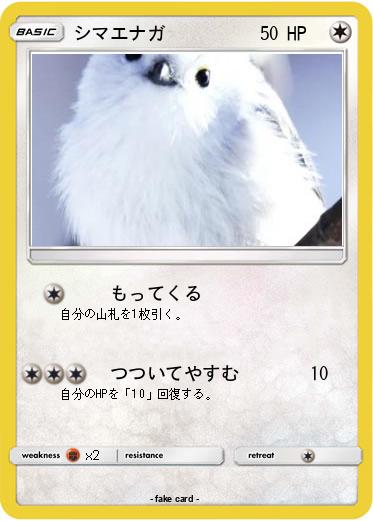 Pokemon シマエナガ