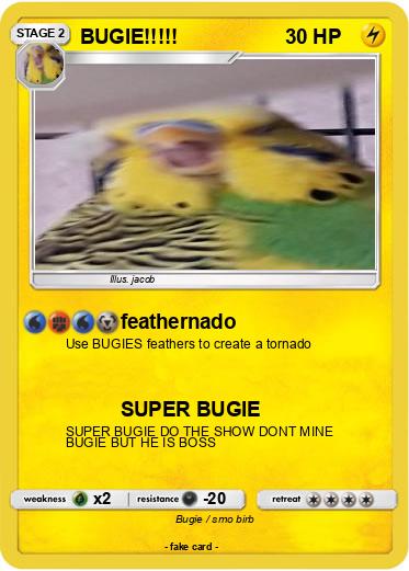 Pokemon BUGIE!!!!!