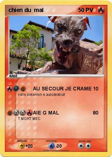 Pokemon chien du  mal             