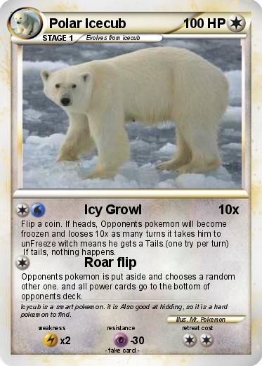 Pokemon Polar Icecub