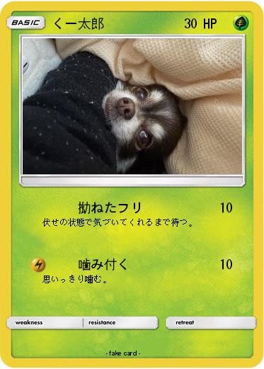 Pokemon くー太郎