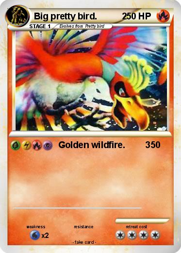 Pokemon Big pretty bird.          2