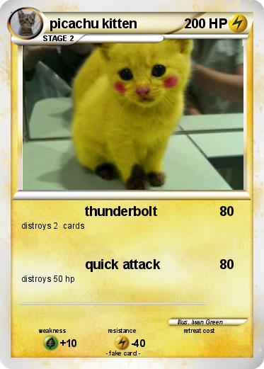 Pokemon picachu kitten