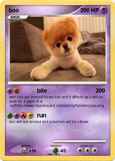 Pokemon boo