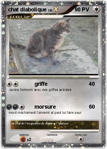 Pokemon chat diabolique