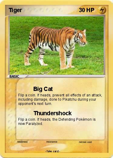 Pokemon Tiger