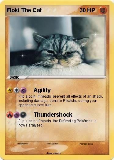 Pokemon Floki The Cat