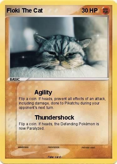 Pokemon Floki The Cat