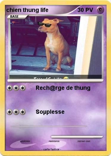 Pokemon chien thung life