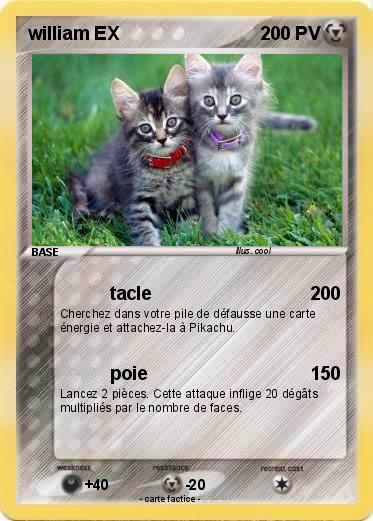 Pokemon william EX