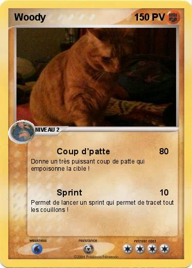 Pokemon Woody 