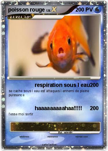 Pokemon poisson rouge