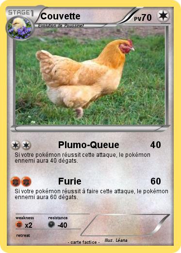 Pokemon Couvette